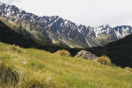 New Zealand Rees-Dart Day 1 7 2004